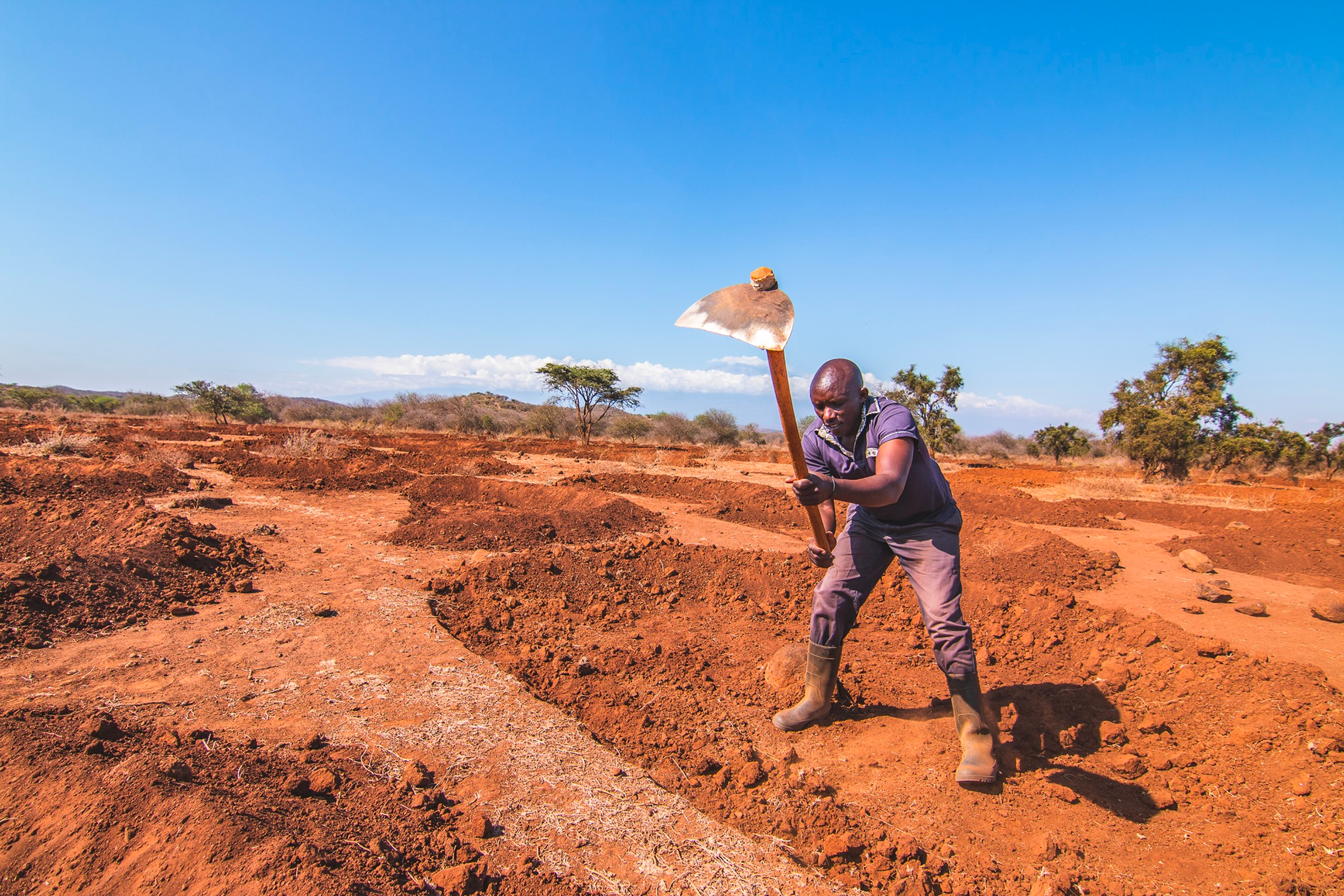 Man digging a bund to regreen dry land